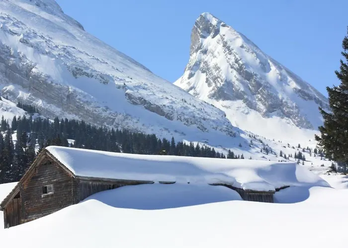 Casa Uccello By Interhome Wildhaus